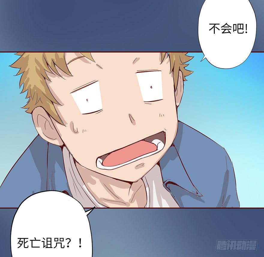 003搭档66