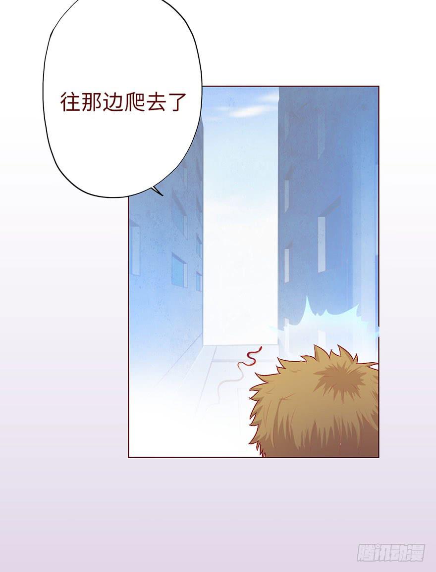 010追踪（下）13