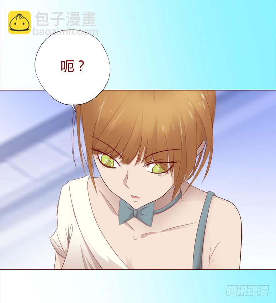 017灵宠（下）10
