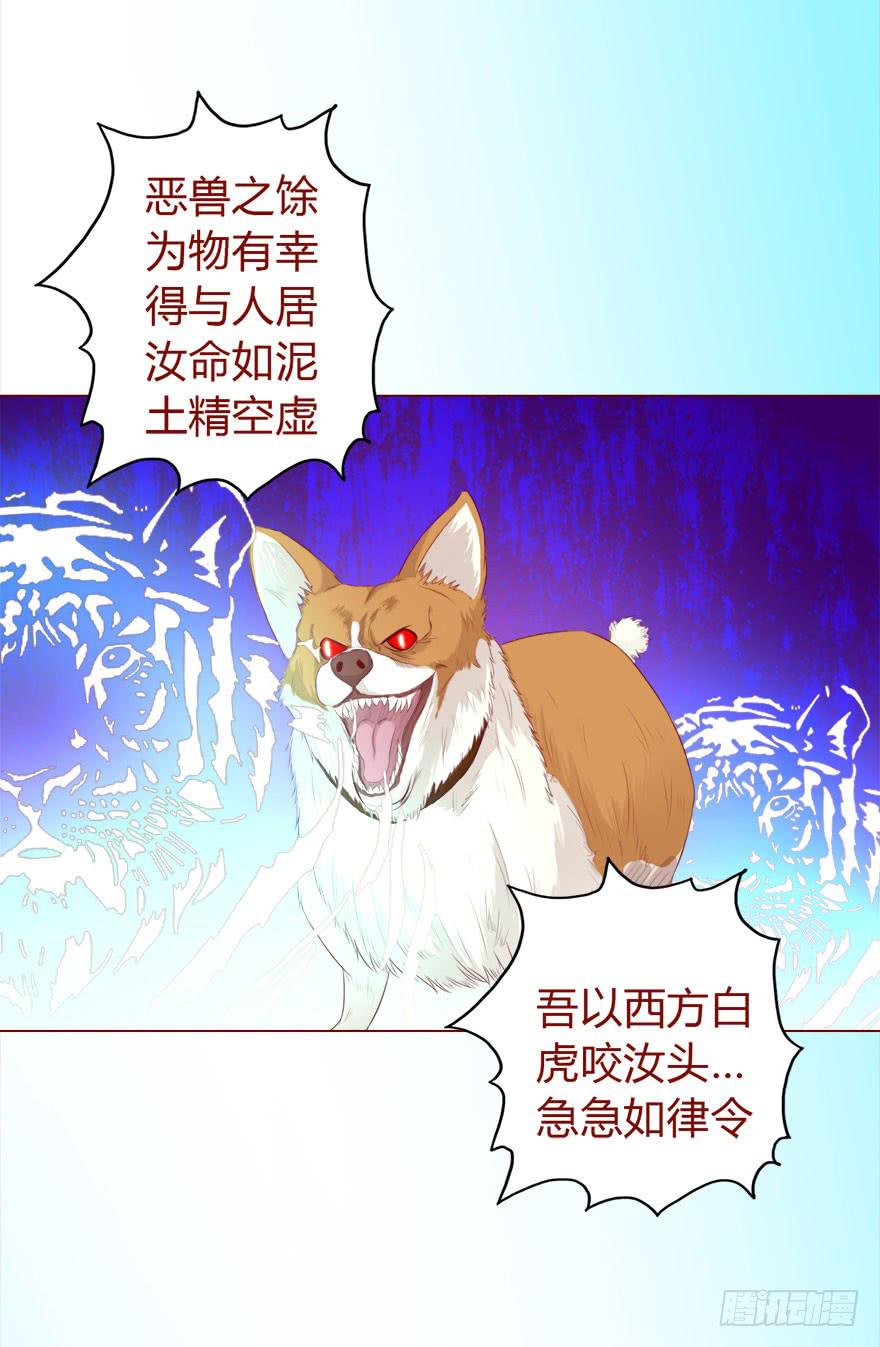 017灵宠（下）11