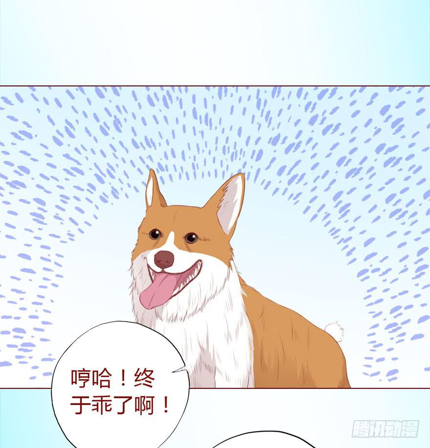 017灵宠（下）12