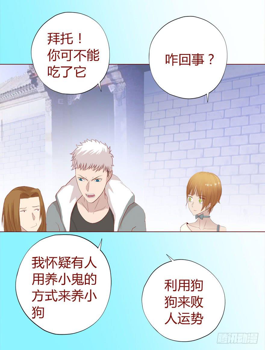 017灵宠（下）14