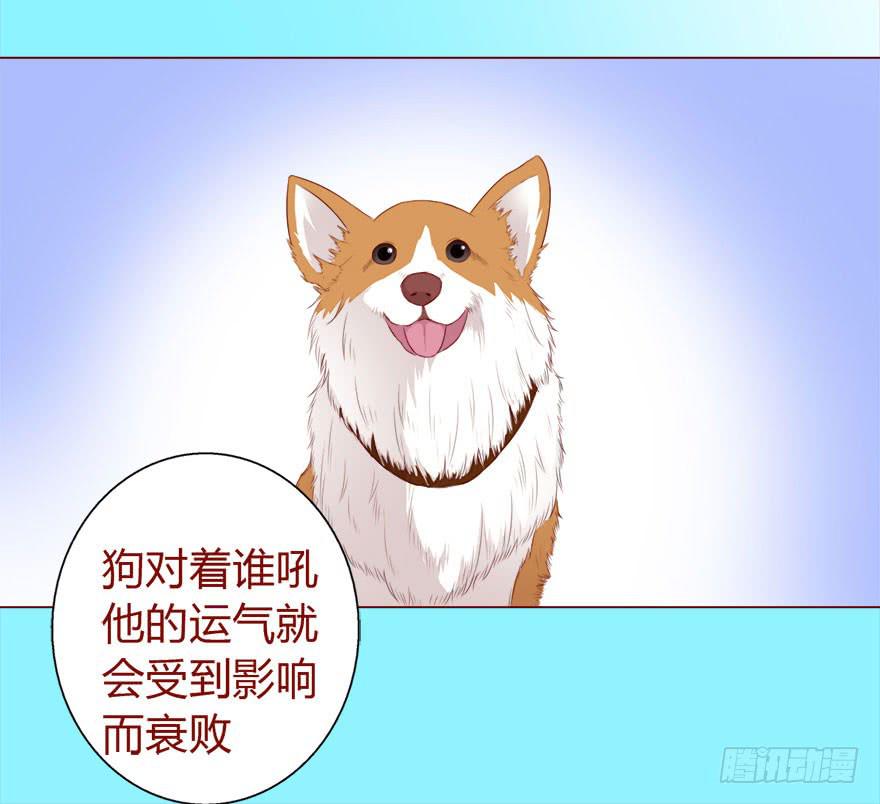 017灵宠（下）15