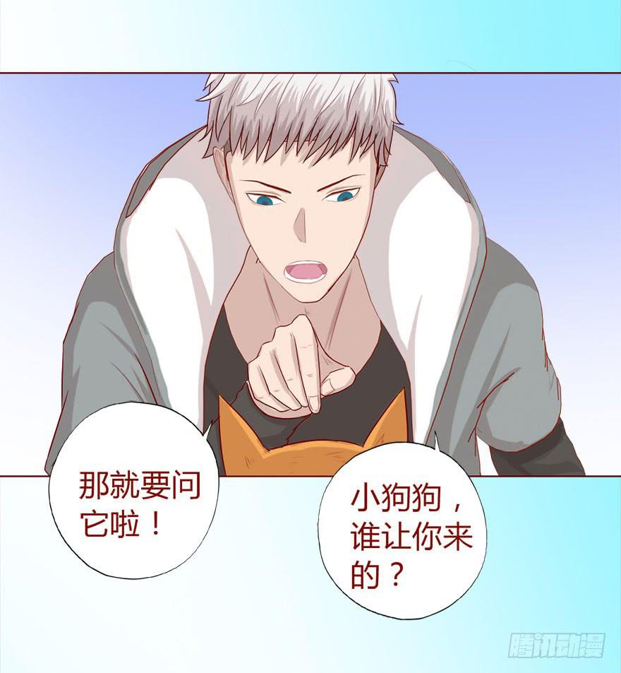 017灵宠（下）17