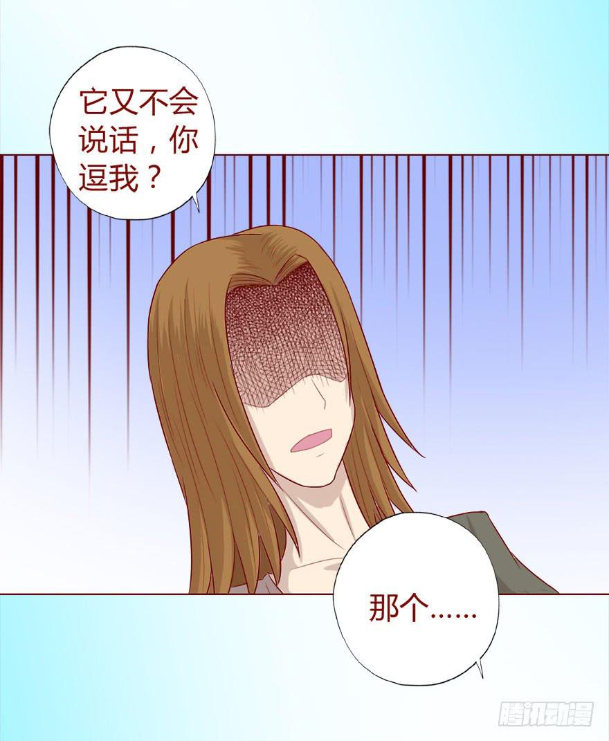 017灵宠（下）18