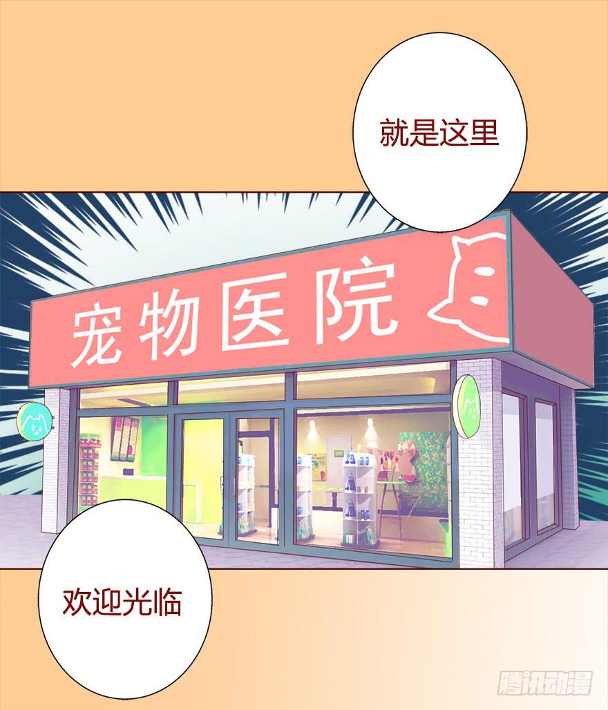 017灵宠（下）29