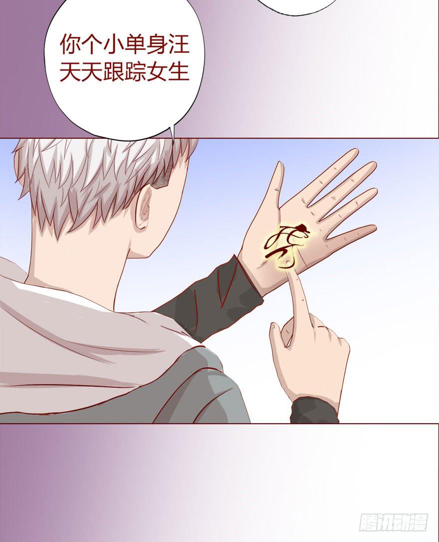 017灵宠（下）3