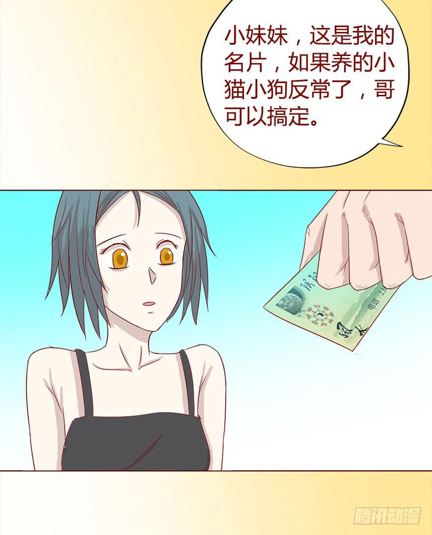 017灵宠（下）35
