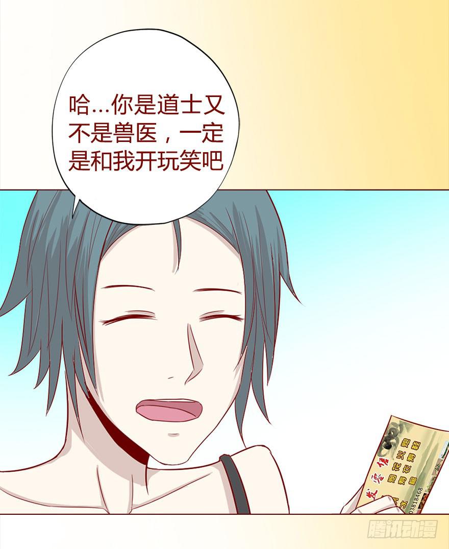 017灵宠（下）36