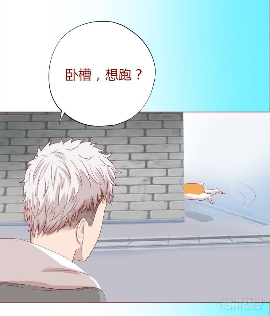 017灵宠（下）5