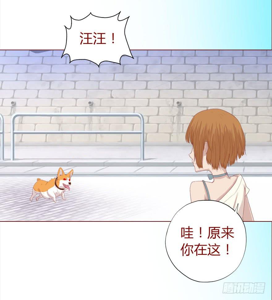 017灵宠（下）7