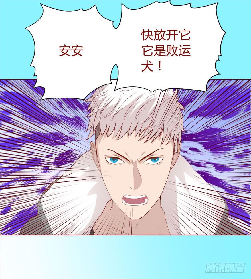 017灵宠（下）9