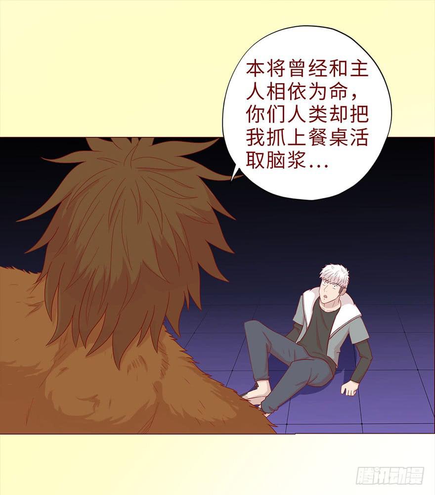 044骗局（上）17
