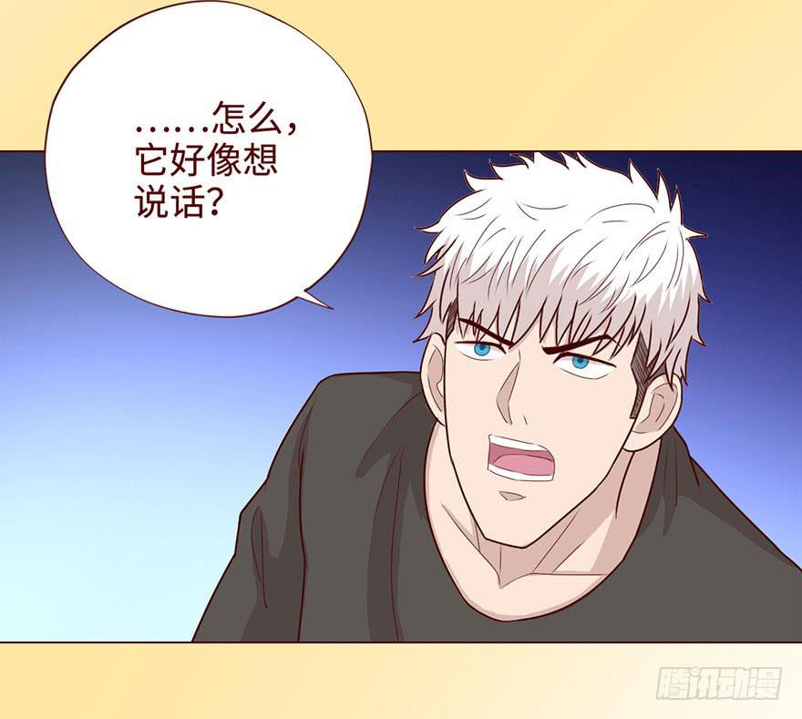 058解禁书（下）2