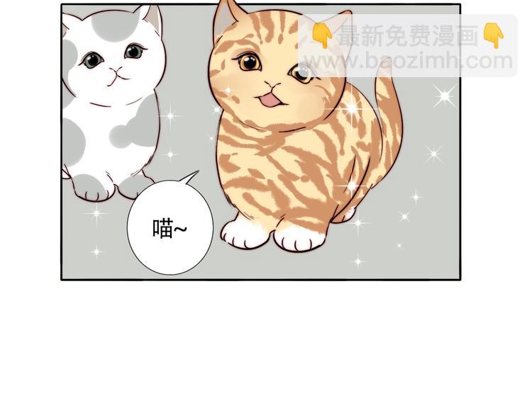 第56话  可爱10