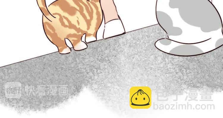 第56话  可爱13