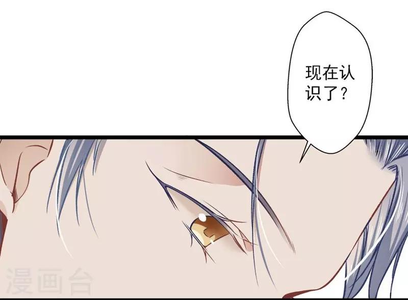 第35话 撩遍花美男6
