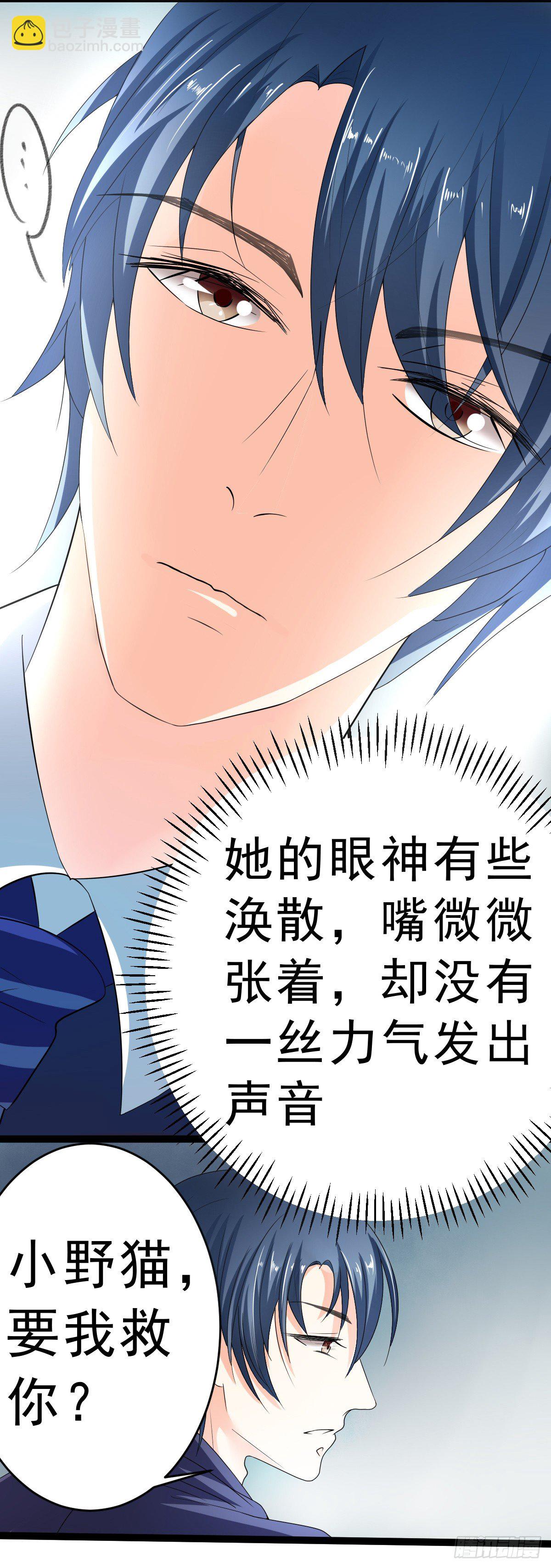 小野猫11