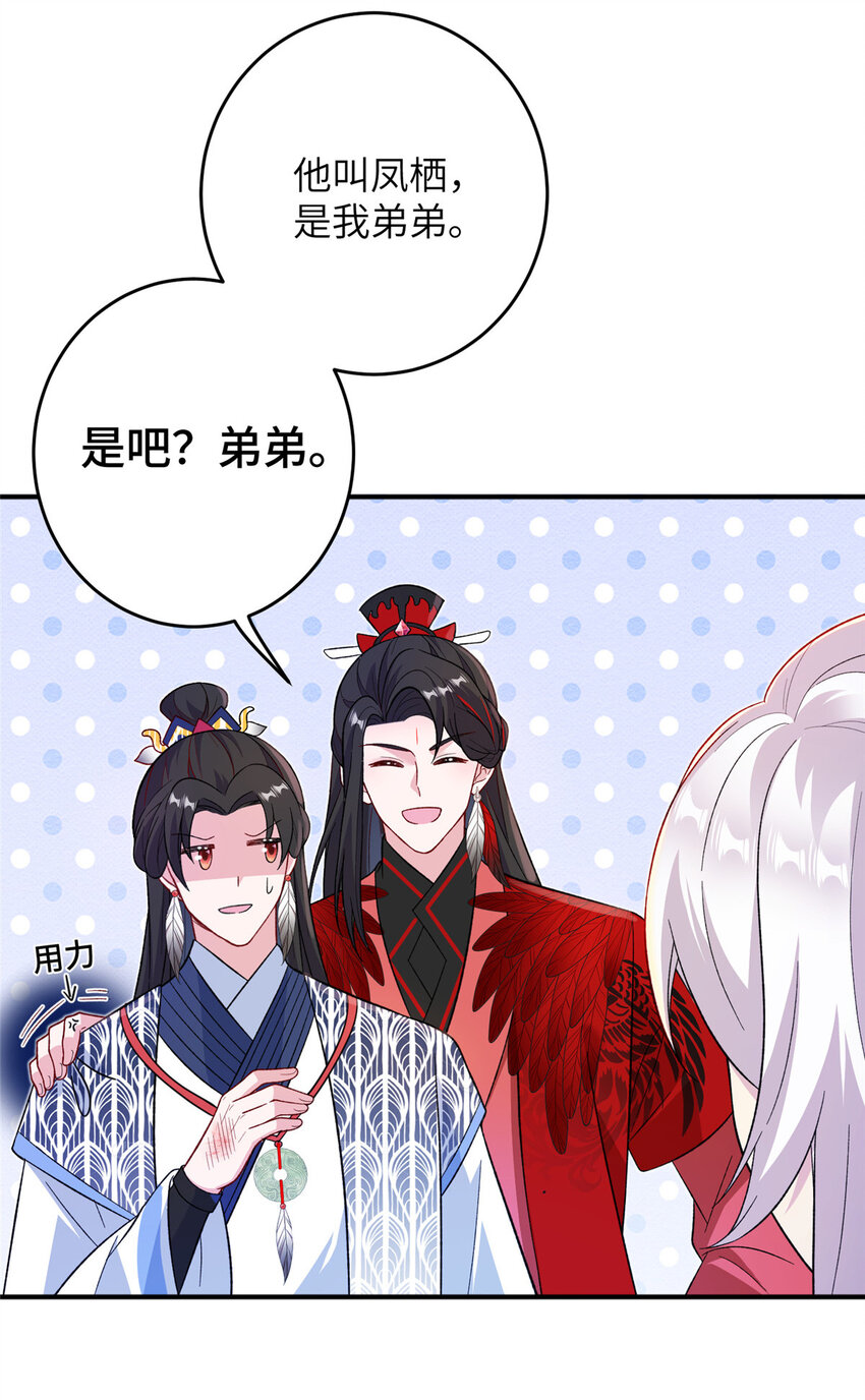 53 凤家主带货上山31