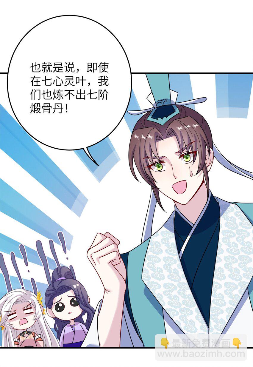 69 代炼丹师26