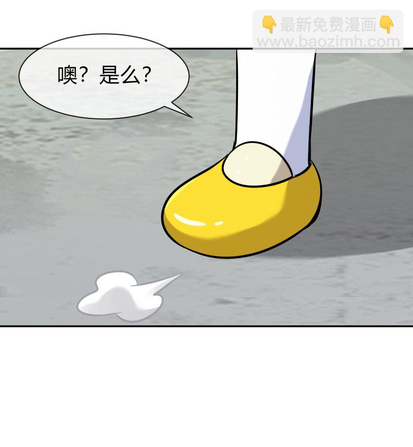 061 来发大招56