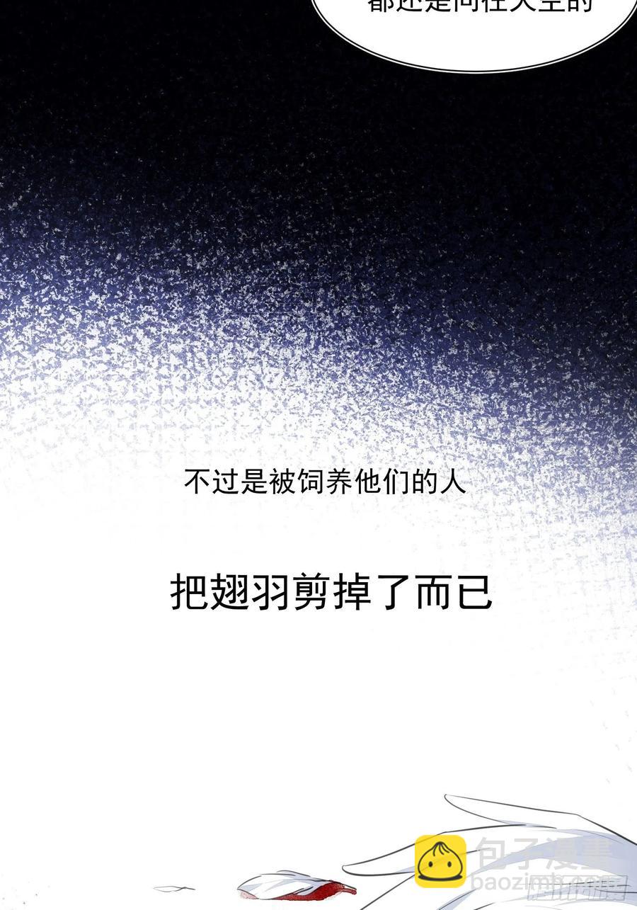 第36话 笼中鸟10