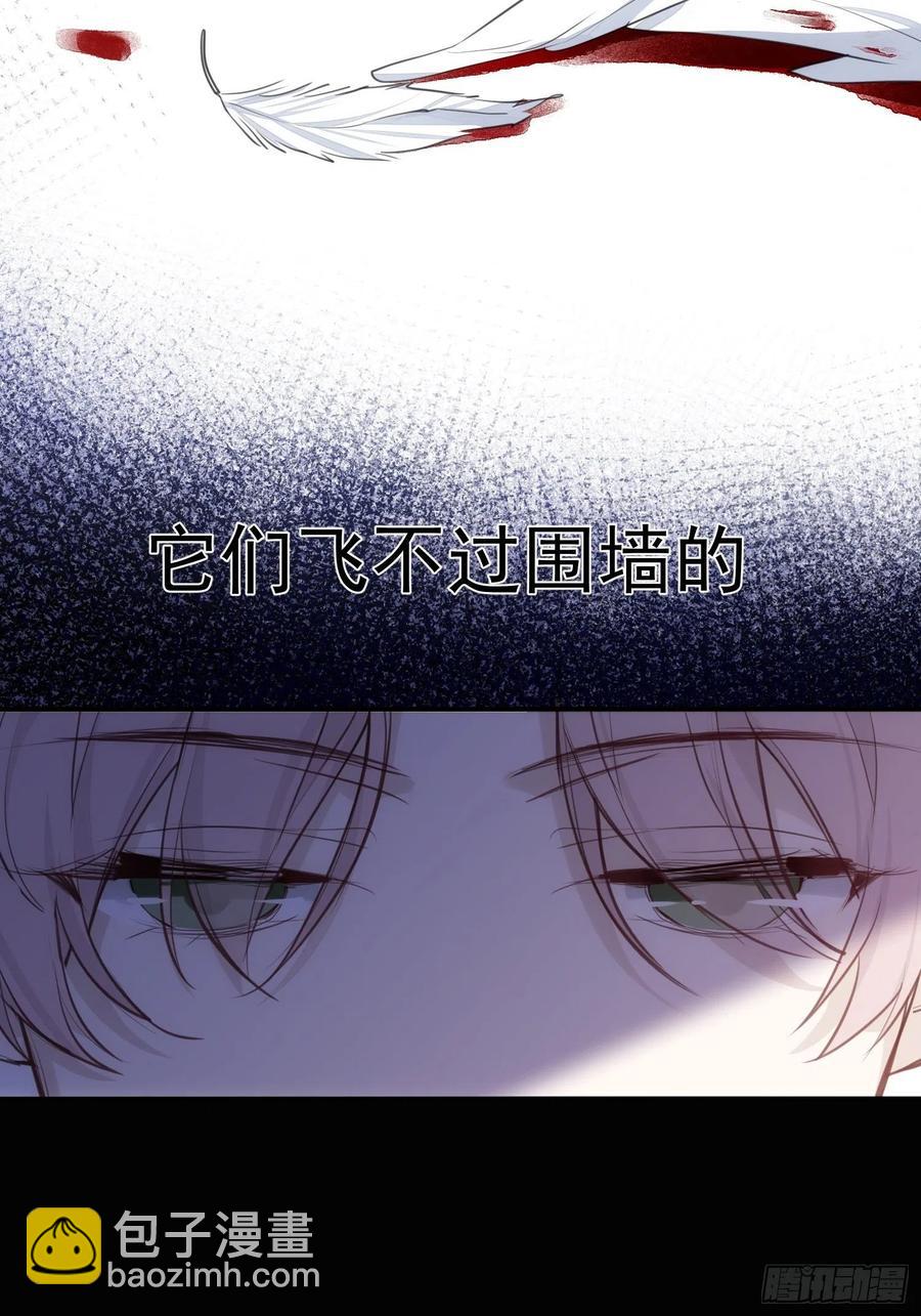 第36话 笼中鸟11
