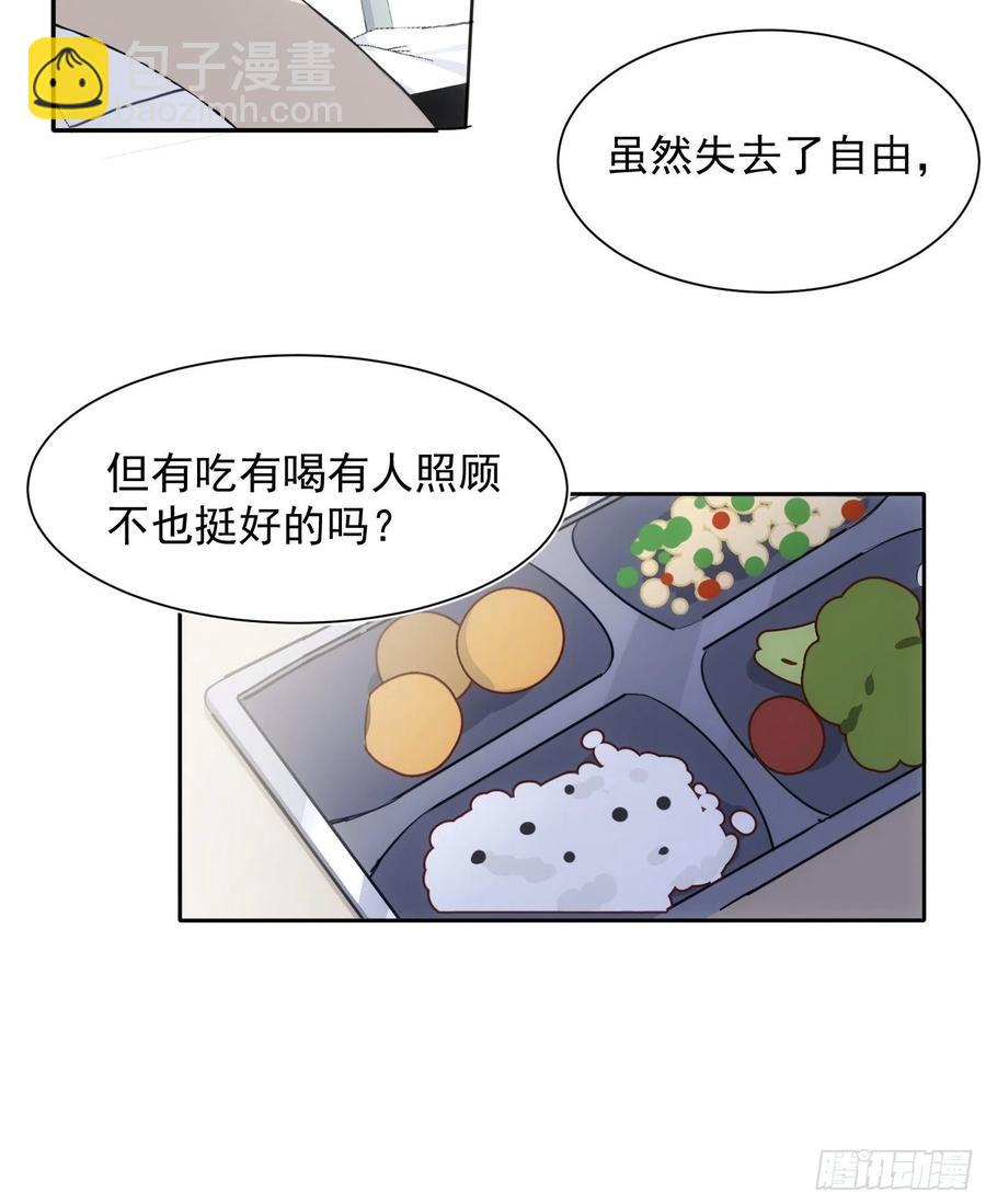 第36话 笼中鸟13