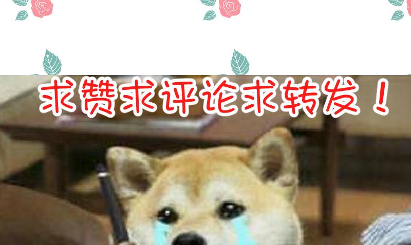 第59话 为了什么43