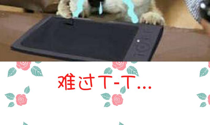 第61话 需要时间确认38
