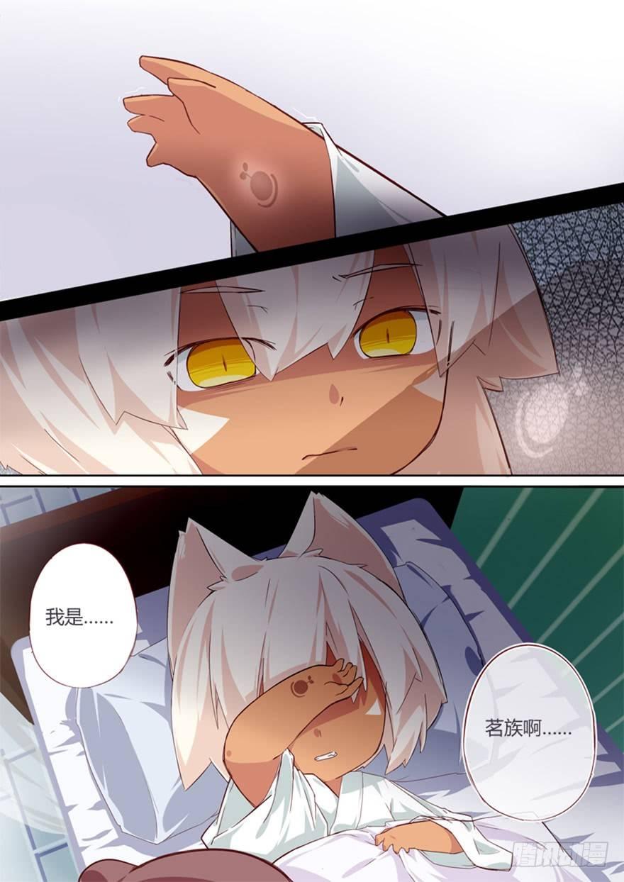 72.茗族11