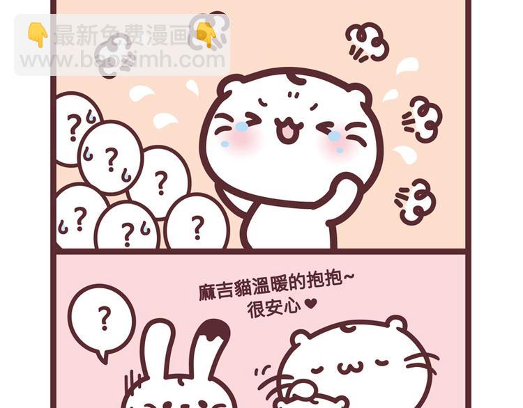 麻吉猫的抱抱，很安心（二）2