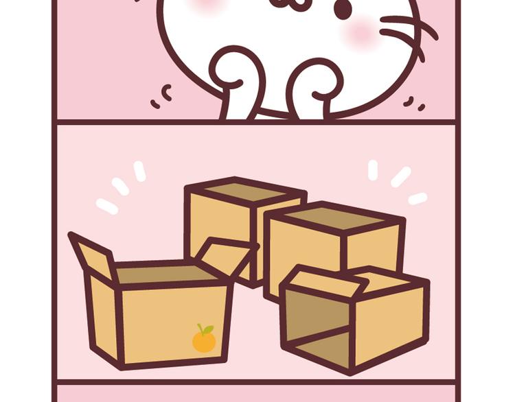玩纸箱1