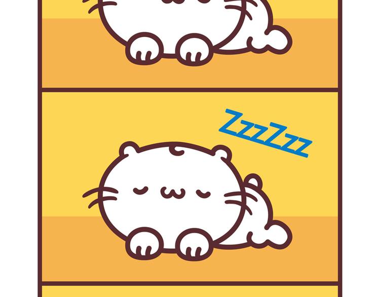 喵的一日1