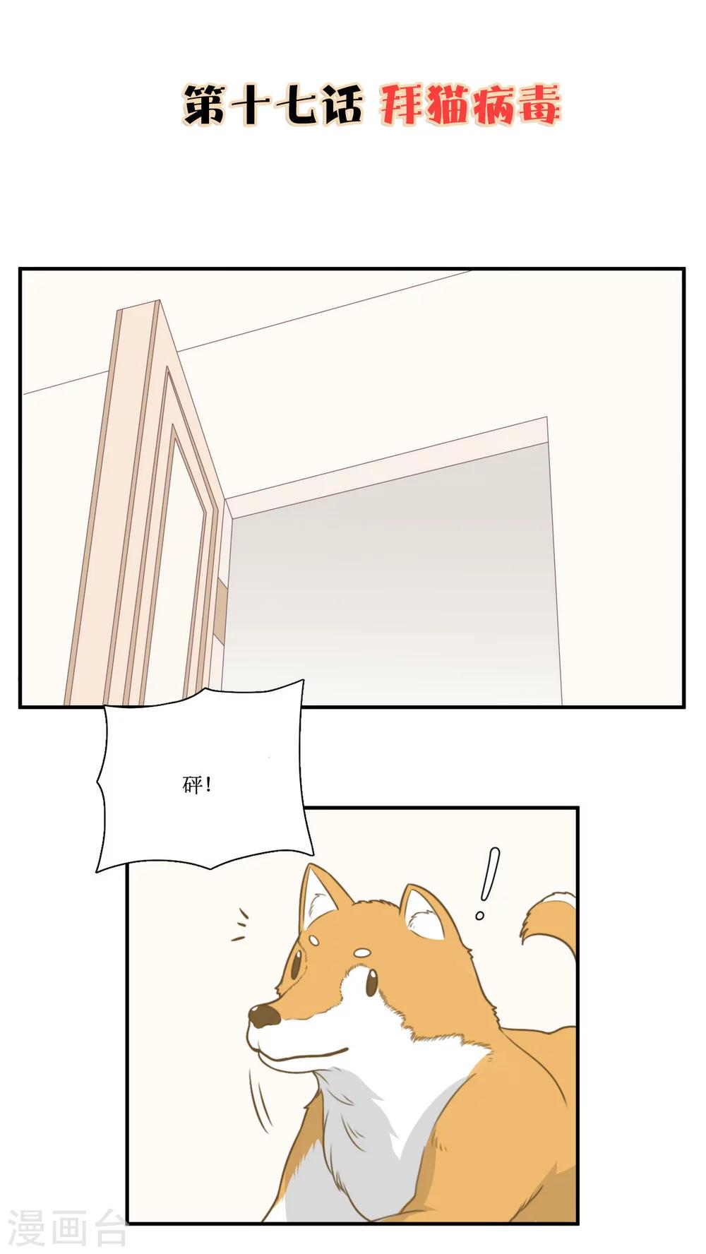 第17话 拜猫病毒1