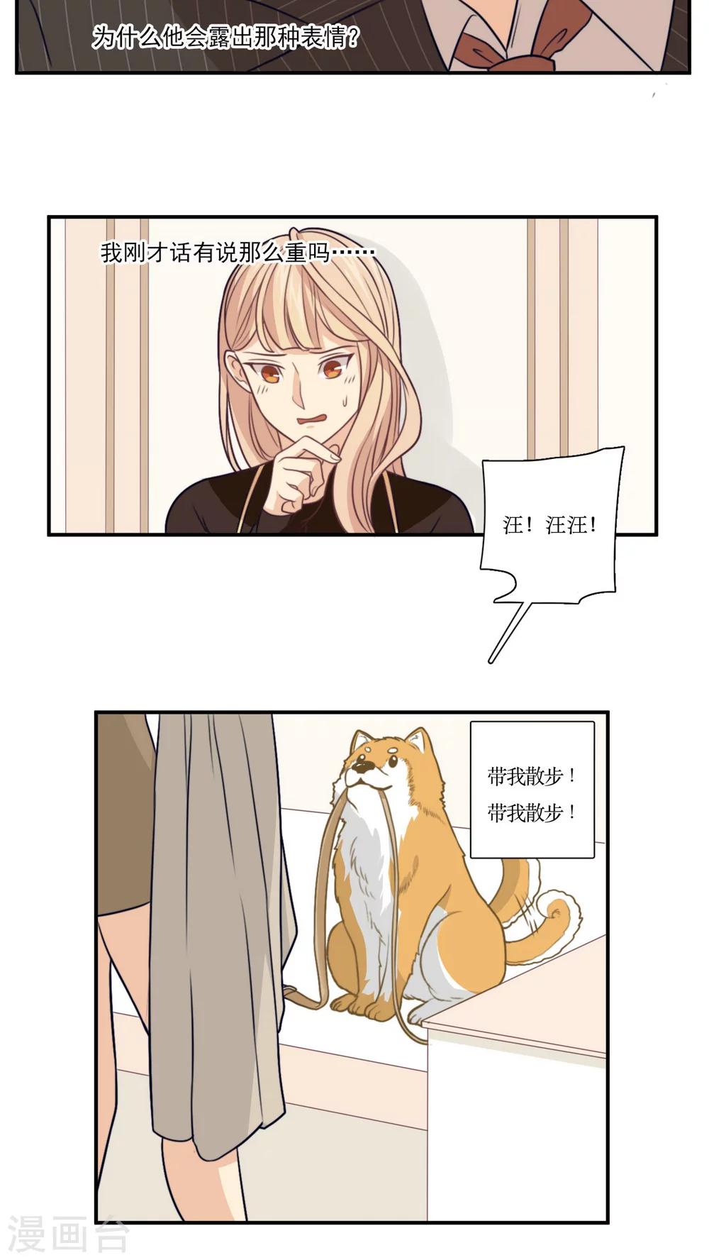 第17话 拜猫病毒3
