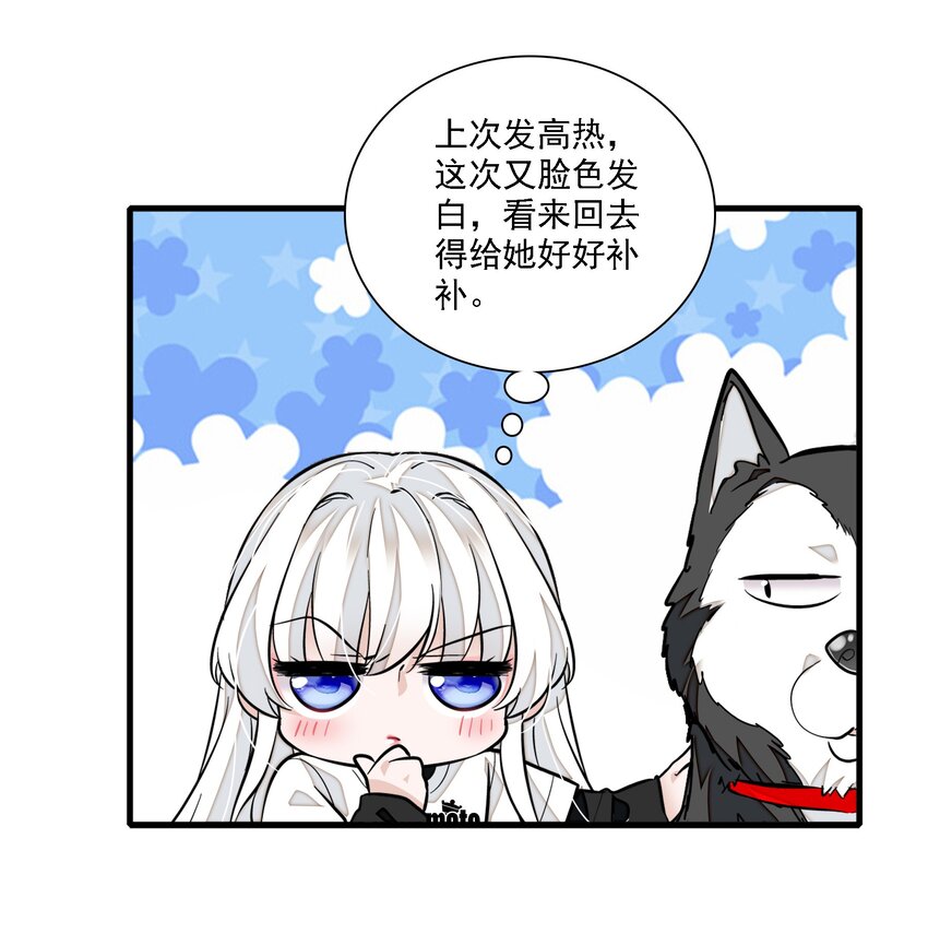 066 分离的预告41