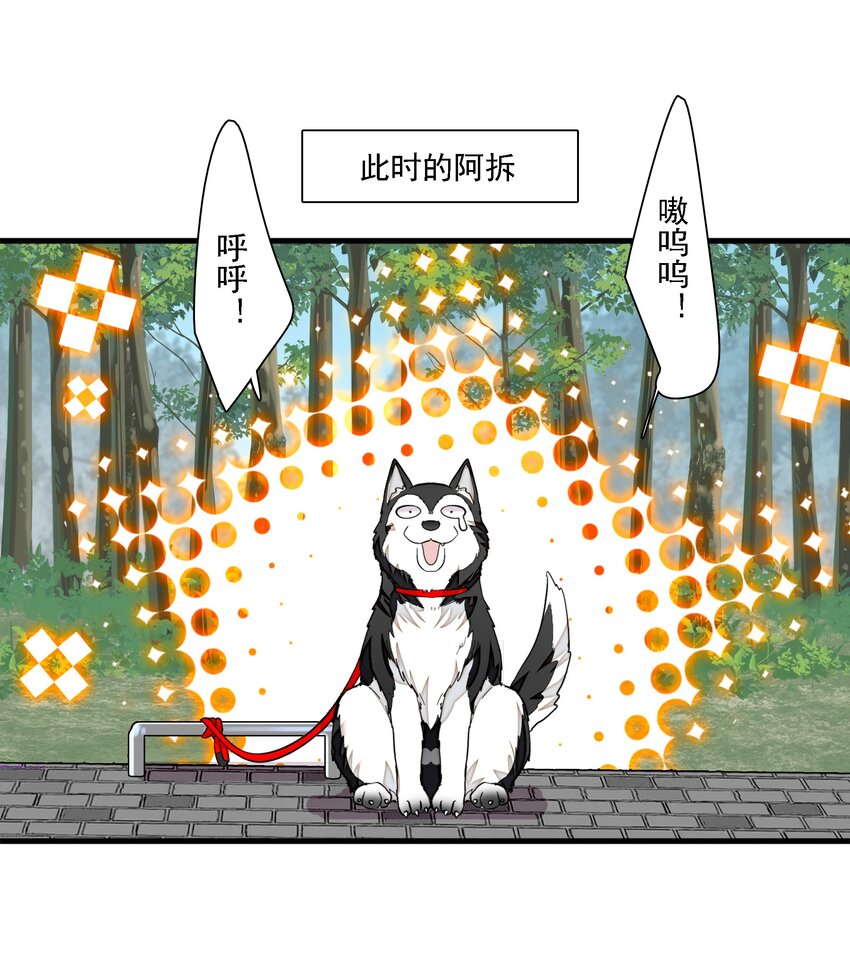 066 分离的预告8