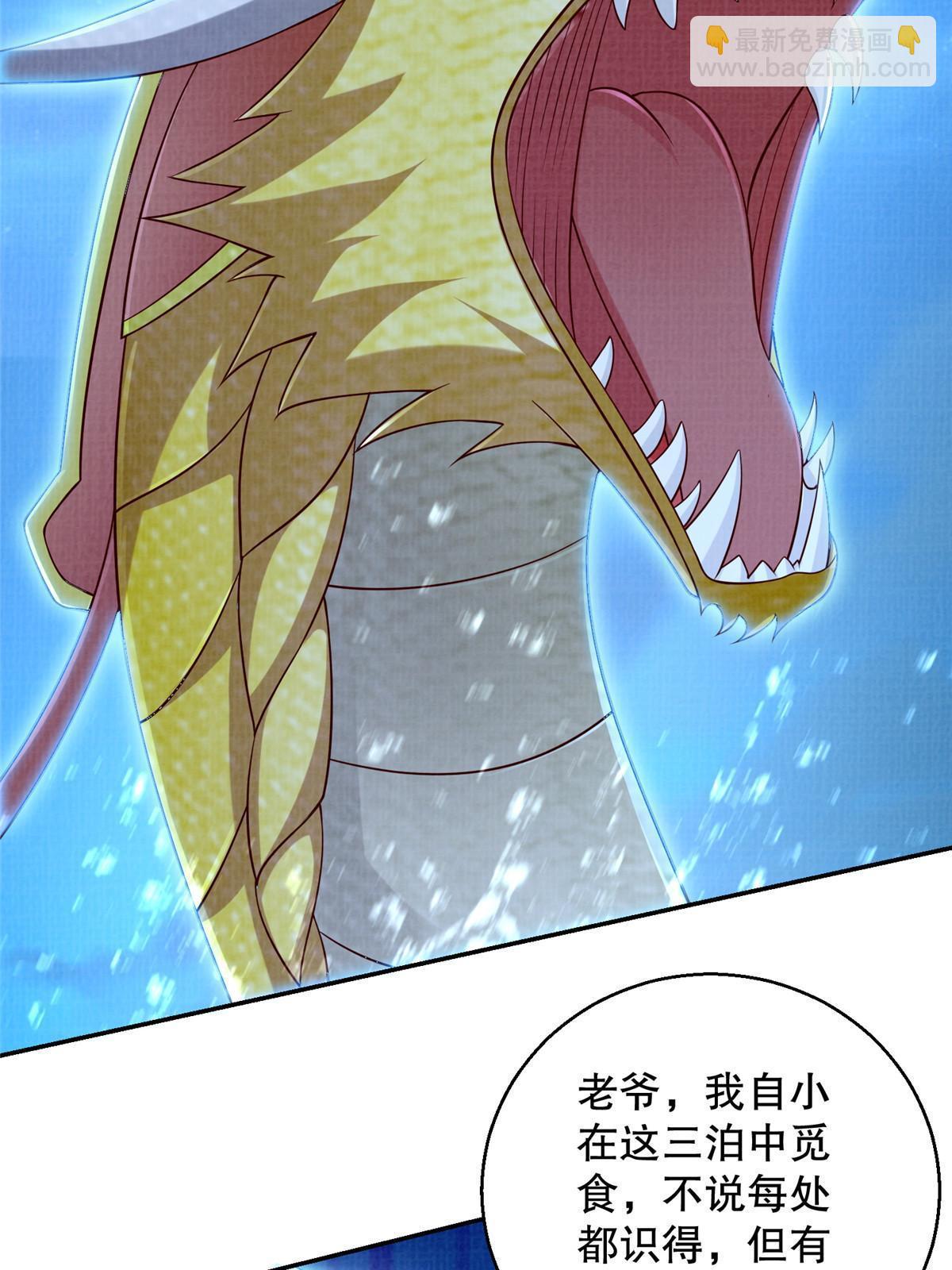 51 冲玄成丹70