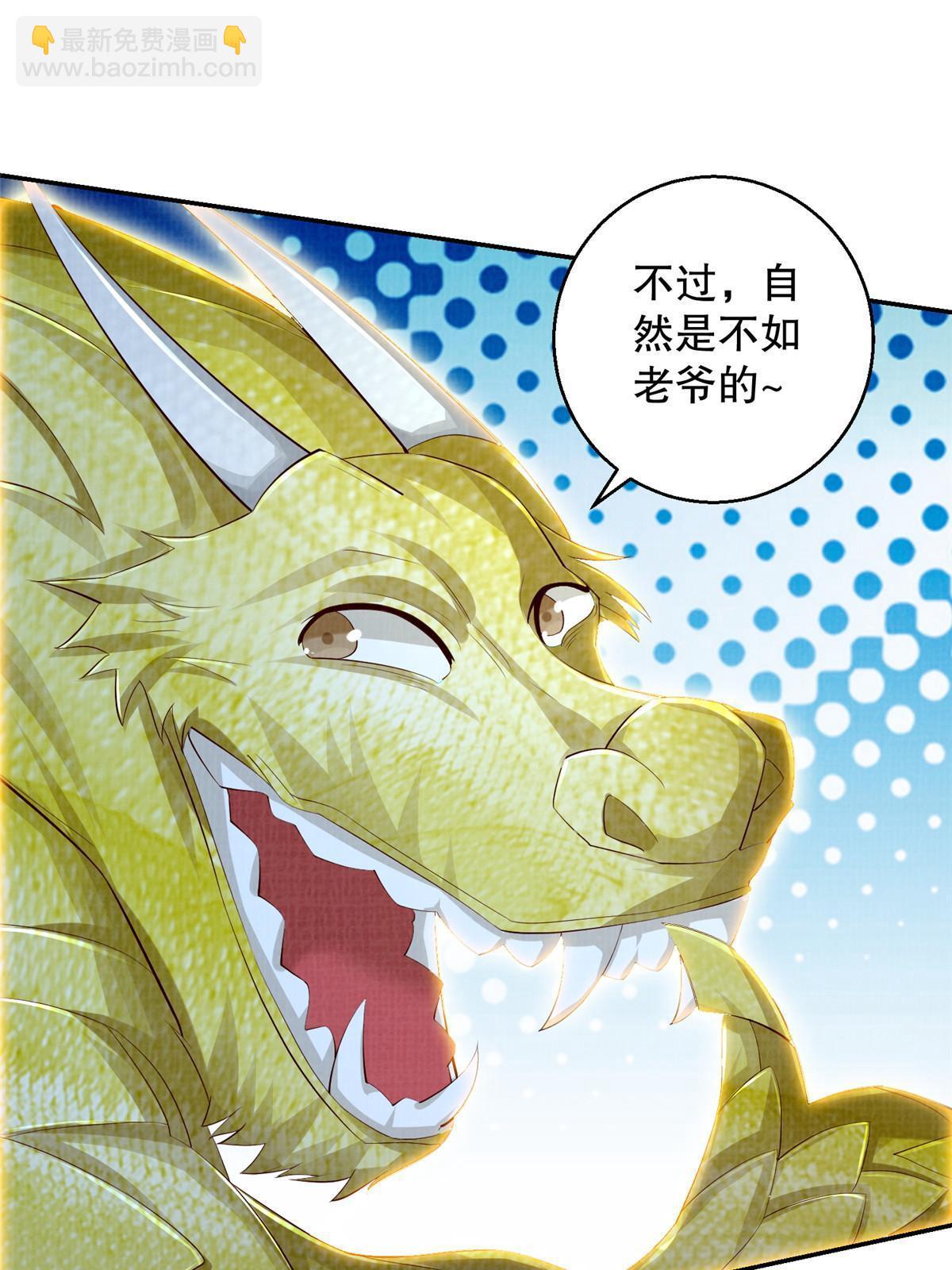 51 冲玄成丹80