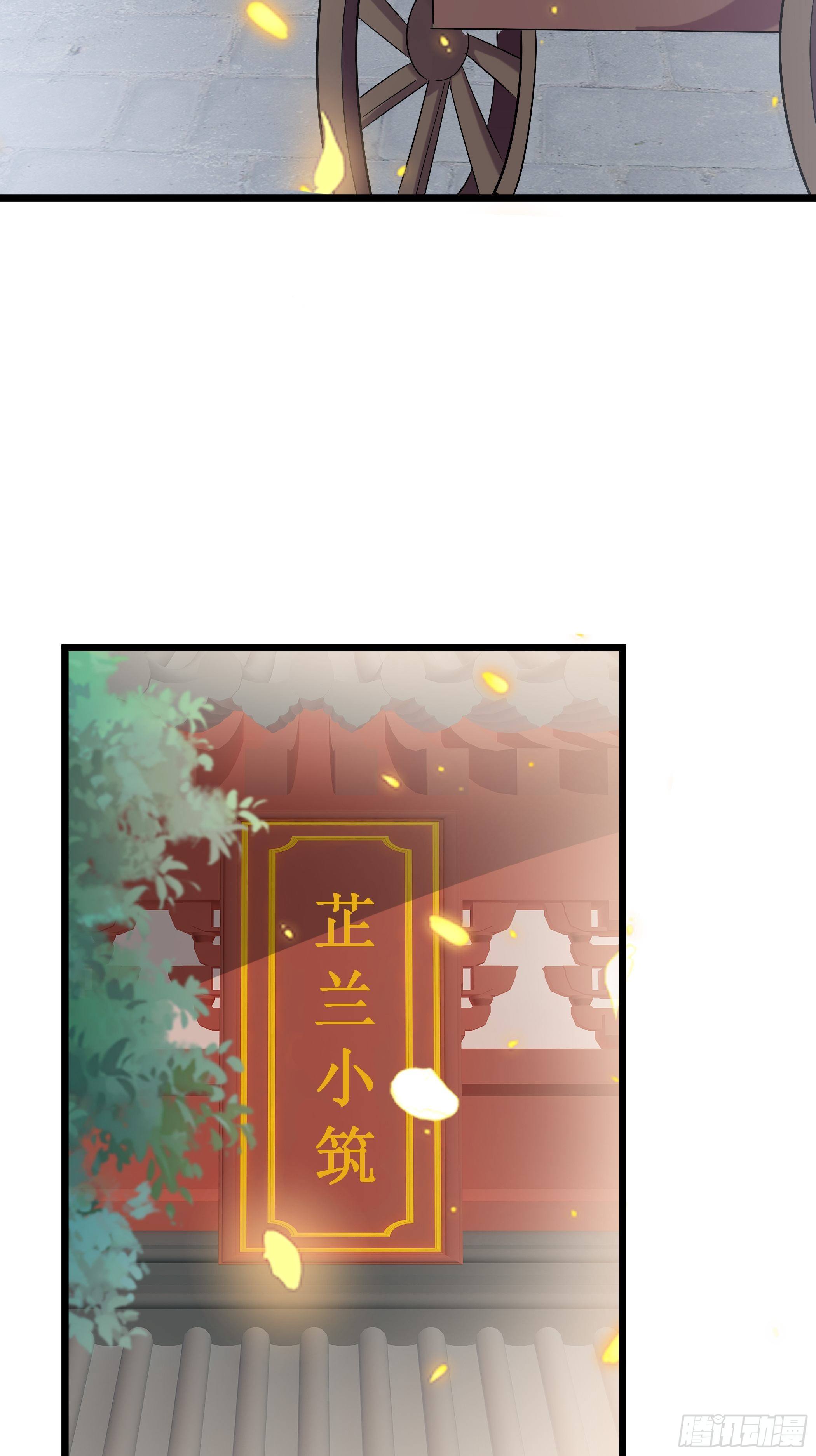 不要乱来35