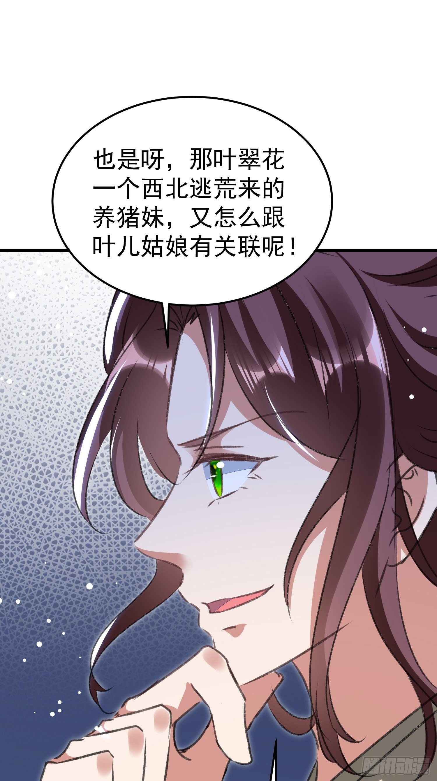 叶翠花的身世43