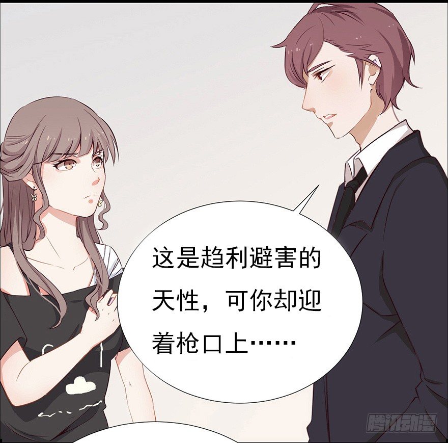 002单细胞动物的春天16