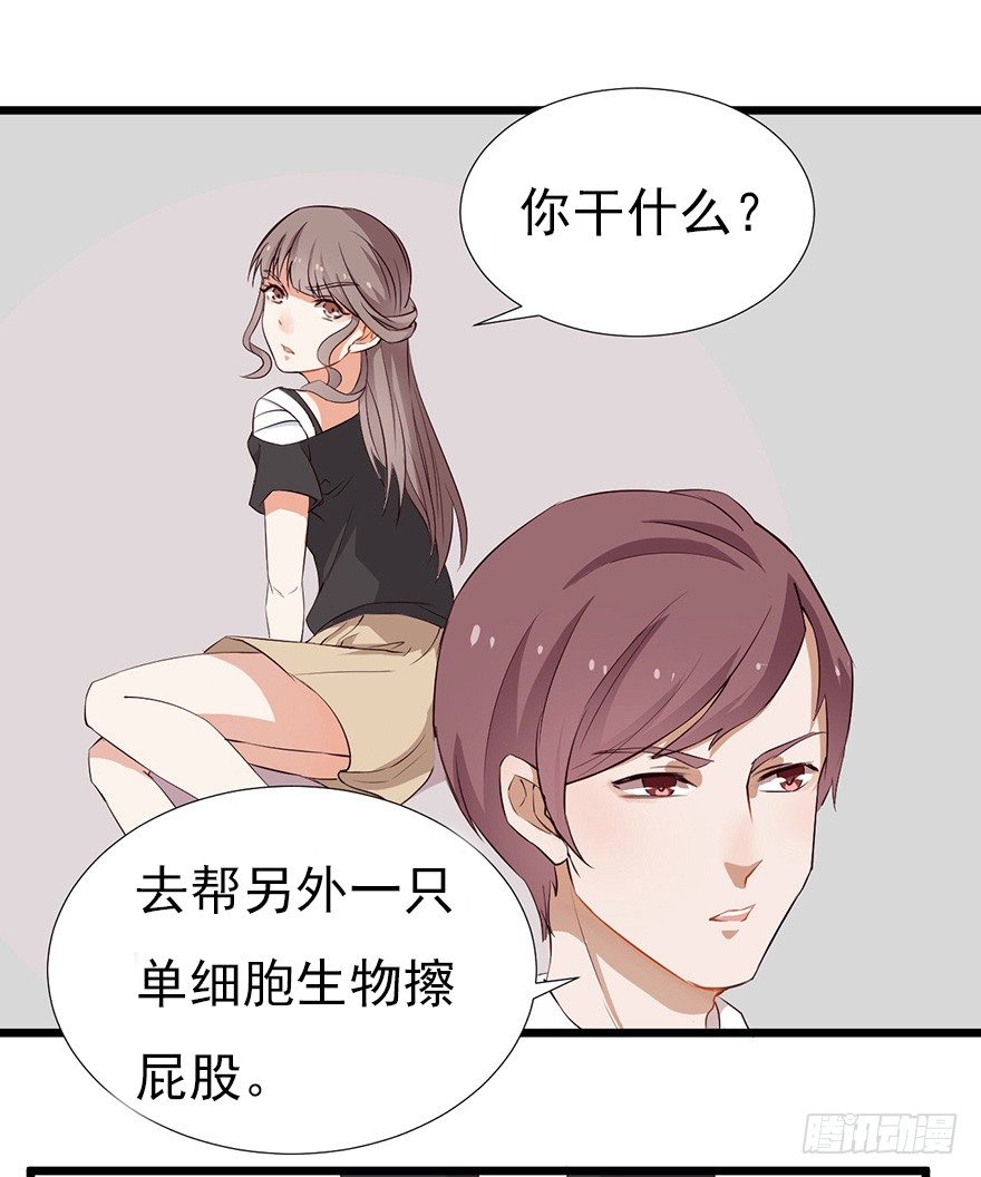 002单细胞动物的春天30