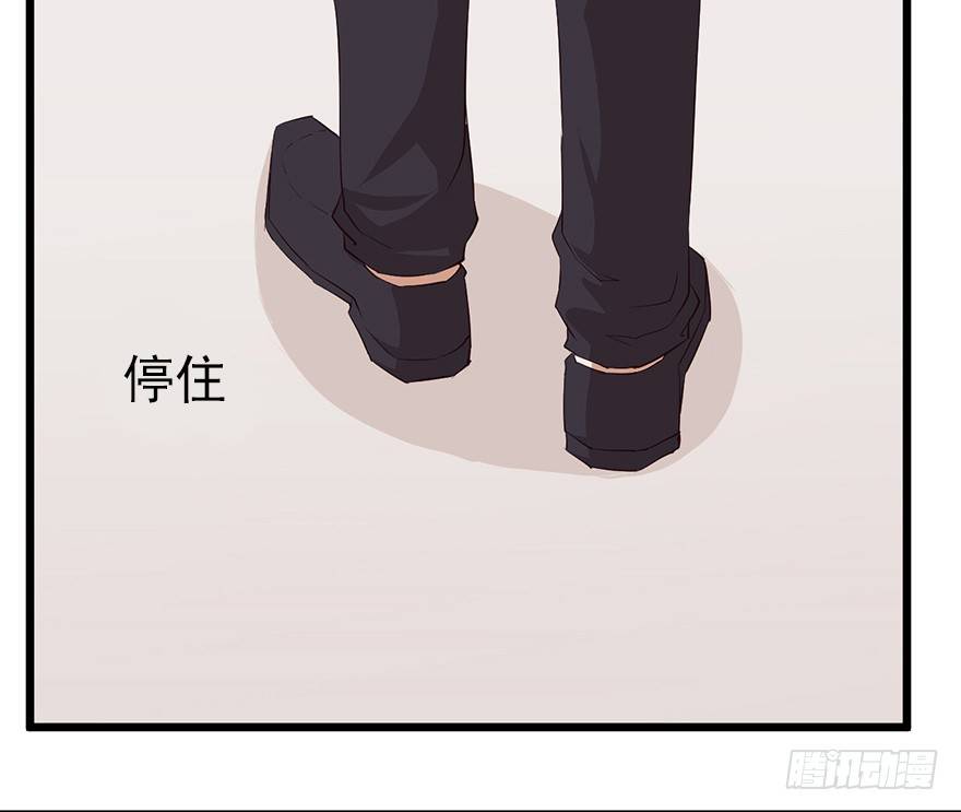 002单细胞动物的春天31
