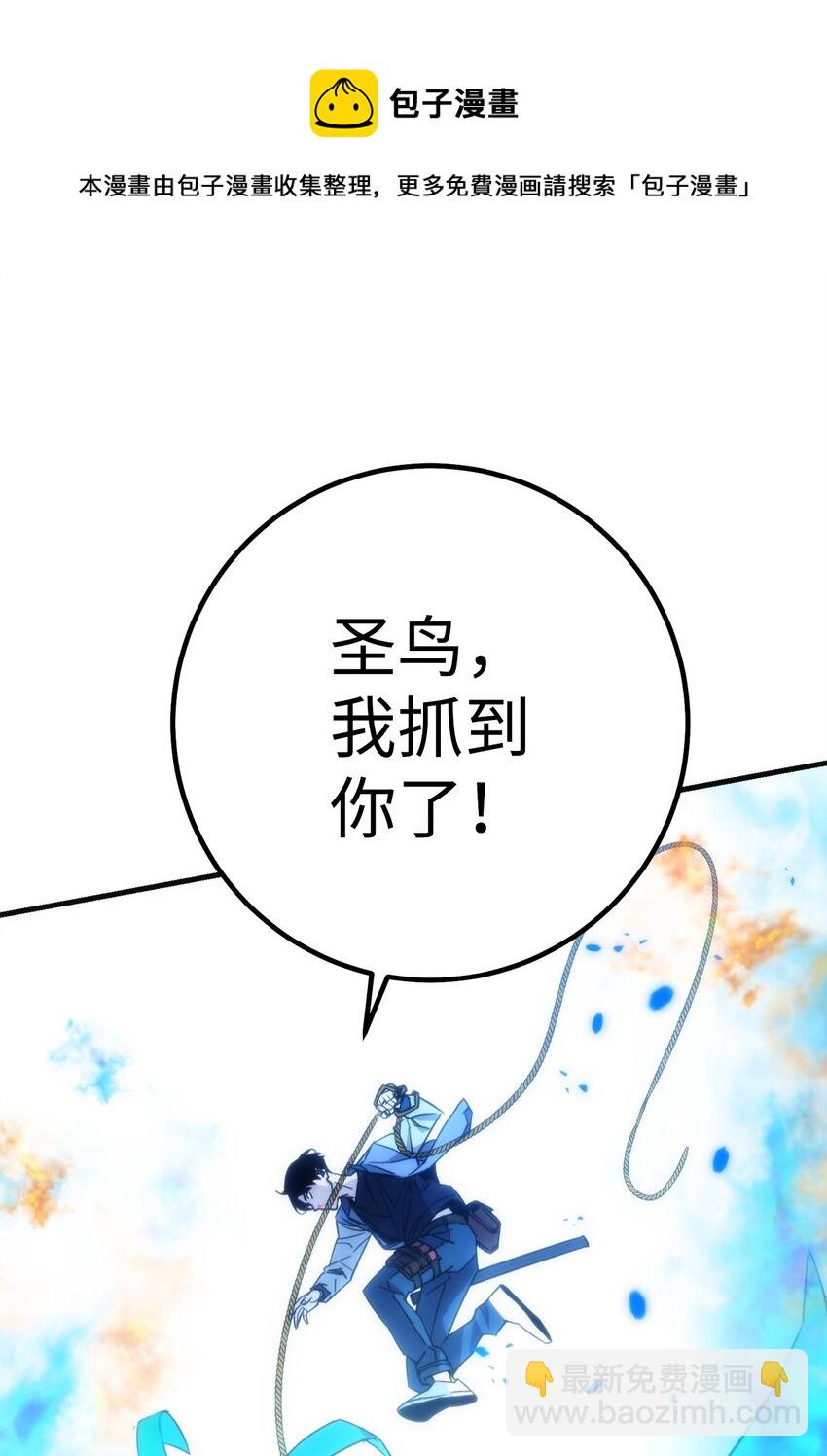 10 蓝火圣鸟88