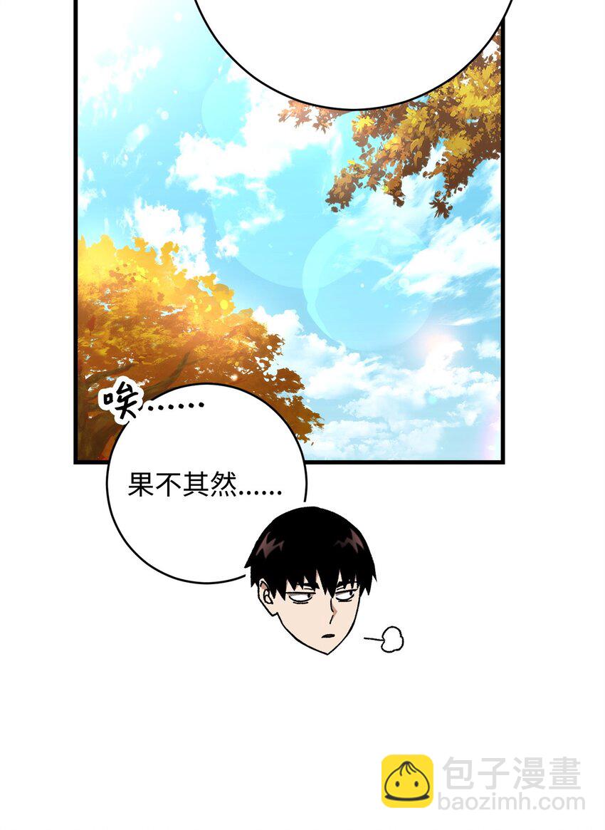 38 云轩的计划13
