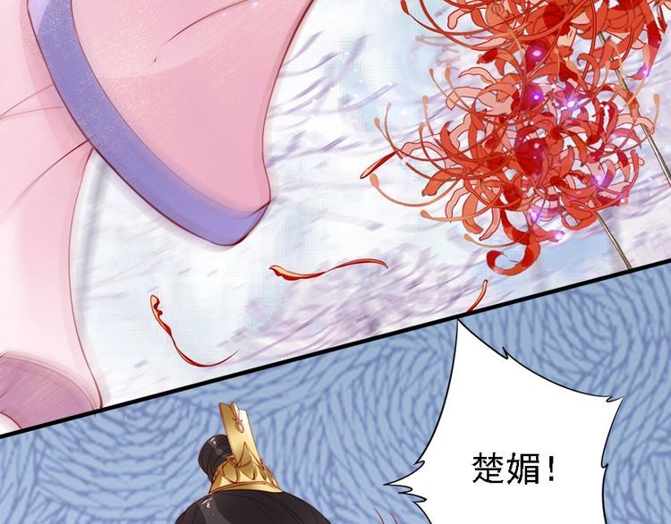 第46话 王妃我只认定你35