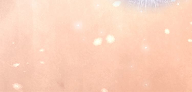 第50话 真正爱的只有你！85