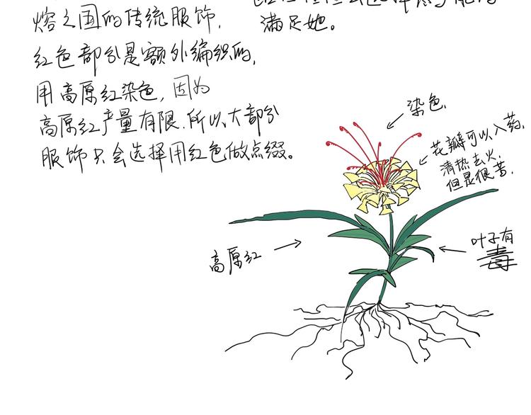 第2话 火苗116